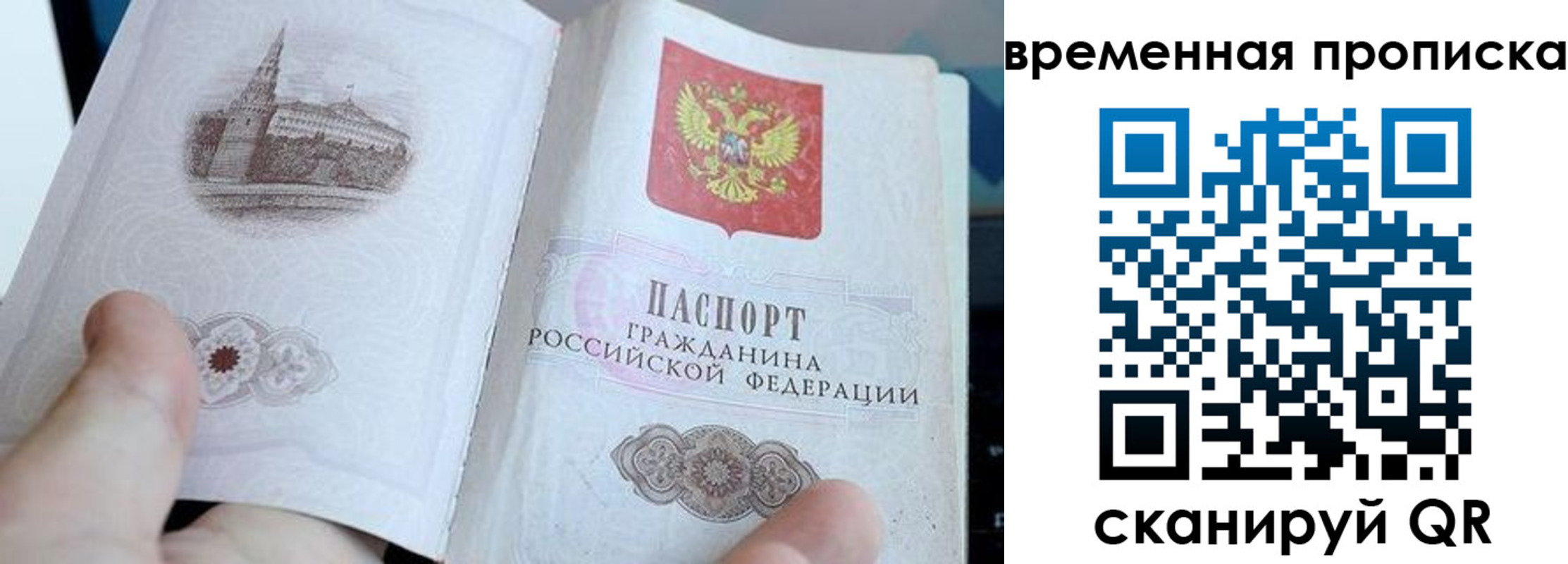 найти адрес прописки в Димитровграде