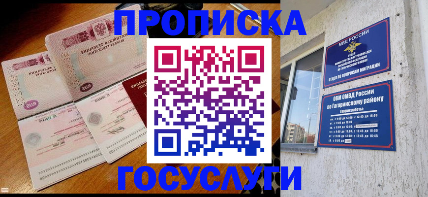 где прописаться в Димитровграде